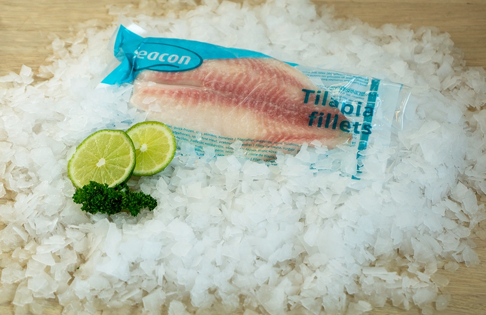 Tilapia